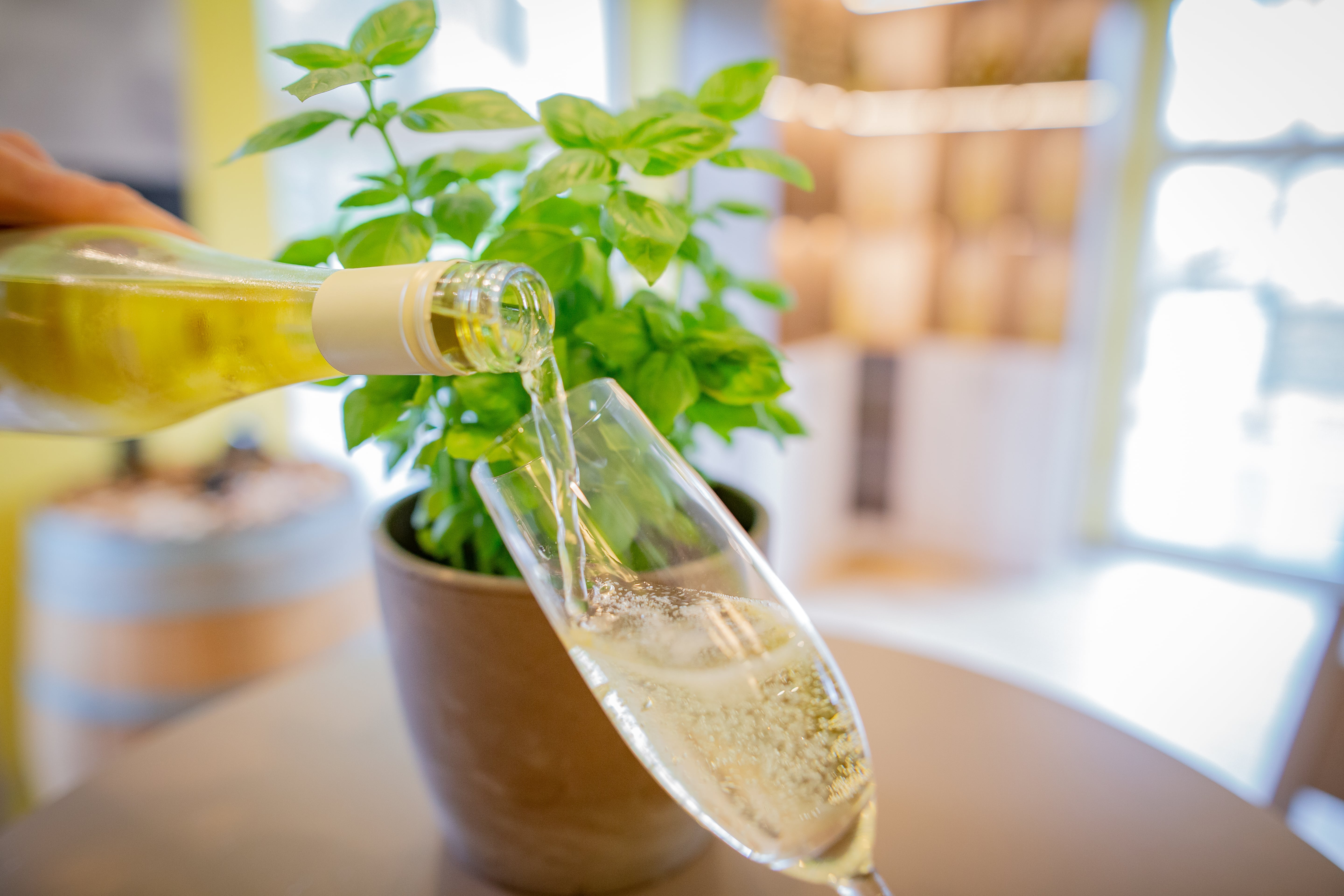 Hier klicken um Bilder anzuzeigen